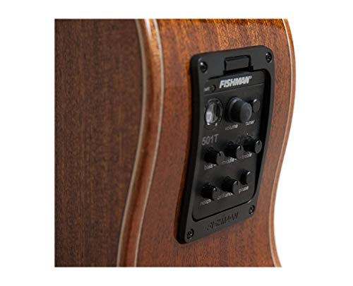 Washburn Comfort Deluxe Series 12 String Acoustic-Electric Guitar, Right, Natural (Other) #TOP5