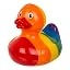 Duck Rainbow