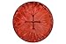 ARAW American Shamanic Native Style Drum,Bison Natural Hide, Mulberry Wood Frame, Mediction Drum Red Color (16 Inches Diameter X 3 Inches Depth)