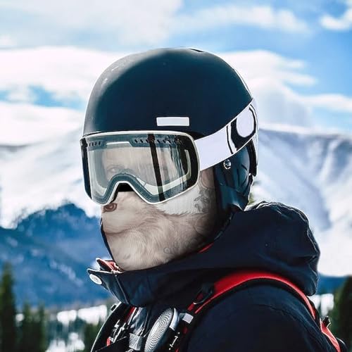 Balaclava para hombre y mujer, máscara de ski con diseño flexible y multifuncional miniatura 5