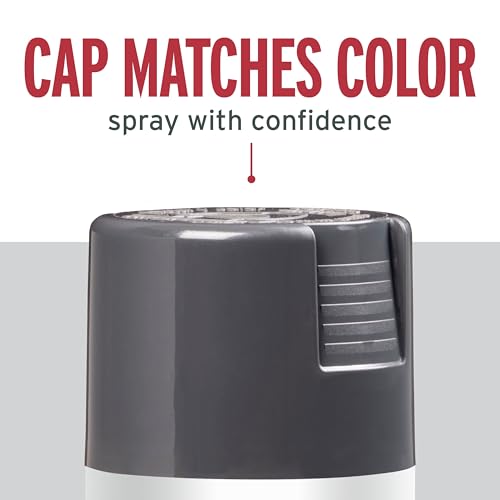 Image of Rust-Oleum 7784830 Stops Rust Spray Paint, 12 oz, Gloss Charcoal Gray, 2 Pack