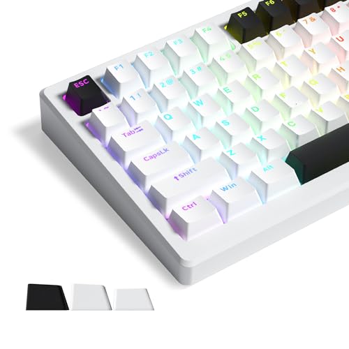 XVX PBT Keycaps, Shine Through Keycaps, OEM Profile Full Size Keyboard Keycaps, Double Shot Custom Keycaps for 61/64/68/84/87/100/104/108 for Cherry MX Mechanical Keyboard, White