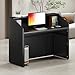 LITTLE TREE 47-Inch Reception Desk with Counter, Black Front Desk Reception Room Table, Retail Counter for Checkout, Modern Welcome Desk for Lobby, Office, Beauty Salon