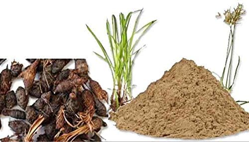 sps marketing korai kilangu Powder(Premium Organic Powder,50g) korai kilangu Powder(Premium Organic Powder,50g)