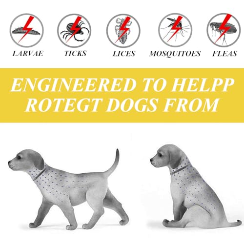XBFOCNH 1 PCS Verstellbar Zecken- & Flohschutz Halsband Hund, Floh und Zeckenhalsband für Hunde Natürlicher Zeckenschutz, Länge: 63cm,für kleine, mittlere und große Haustiere