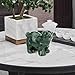 gemshan Green Natural Jade Bear Figurine - Hand Carved Feng Shui Animal Sculpture for Home Office Decor, Wealth Luck & Good Fortune Gift