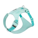 SMALL COMBINATION Lightweight Dog Harness, Large to Very Large Breeds, Adjustable Fit.Pet Harness with Pocket, Dog Training Harness for Outdoor Walking Running, Hiking (Aqua Green, S)