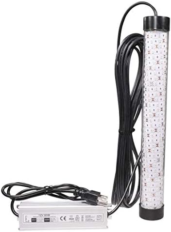 Bright Night Fishing Green LED Night Fishing Light 15,000 Lumen 30ft Cord Waterproof AC Underwater Fishing Light 300 Green LED Submersible Dock Light,