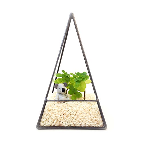 Pyramid Terrarium/Geometric Glass Plant Pot/Modern Planter/Handmade in England (Small, Black)