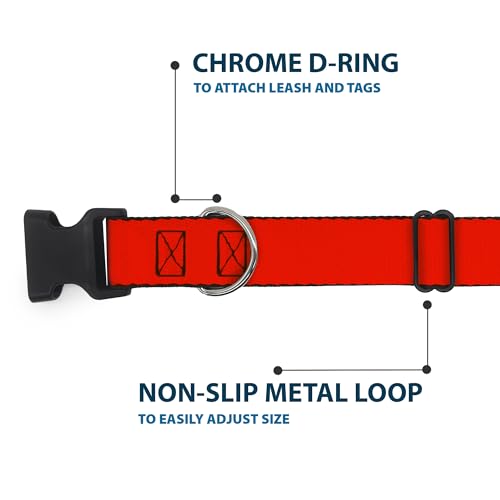 Collar rojo Buckle Down pc-w11801-s para perro pequeño con cierre clip de plástico resistente 6
