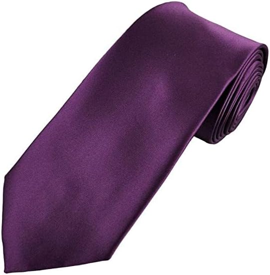 APASTRA TRADERS SOLID PURPLE NECKTIE