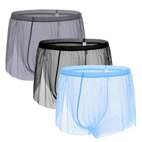 Men's Sexy Underwear Sheer See Through Underwear Ultra Thin Ice Silk Boxer Briefs