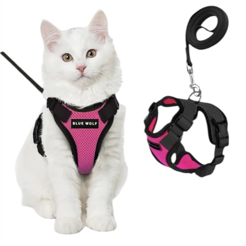 Image of No Pull Cat Harness and Leash Set for Walking - Escape Proof, Soft Air Mesh, Adjustable Vest Harness for Kittens, Cats, Puppy - Lightweight & Comfortable (Queen Pink, XS)