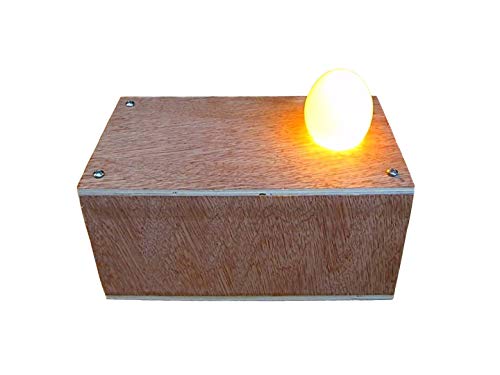 Egg Candler Tester Plans - Build Your Own Ovoscope for Hatching Eggs
