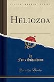Heliozoa (Classic Reprint) (German Edition)