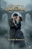  Il Velo di Nebbia: Volume 2 (I Segreti di Darkbourne) (Italian Edition)