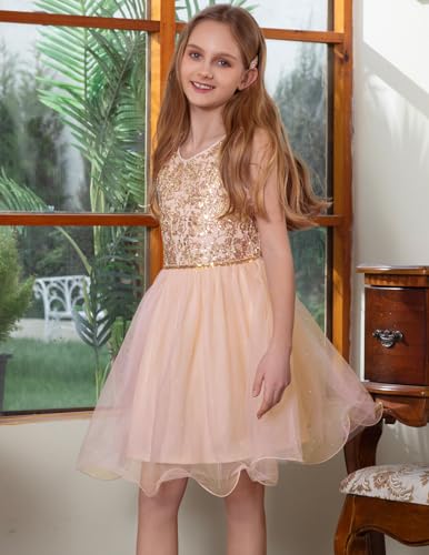 Girls Polka Dots Tutu Dress Sleeveless Flower Girl Dress Layered Tulle Princess Birthday Party Summer Sundress4