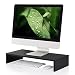 FITUEYES Computer Monitor Riser 21.3 inch Monitor Stand with Keyboard Storage Space,DT105401WB