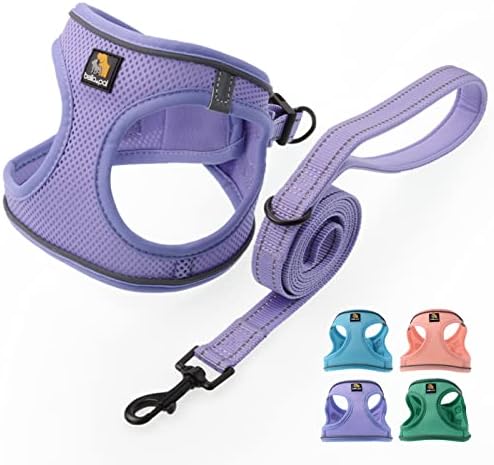 BELLA & PAL Dog Harness with Leash Set, Step in Vest Harness for Small and Medium Dogs, No Pull Harness for Puppy Dogs Medium Dogs, Air Mesh Dog Vest Harness, Purple, XS