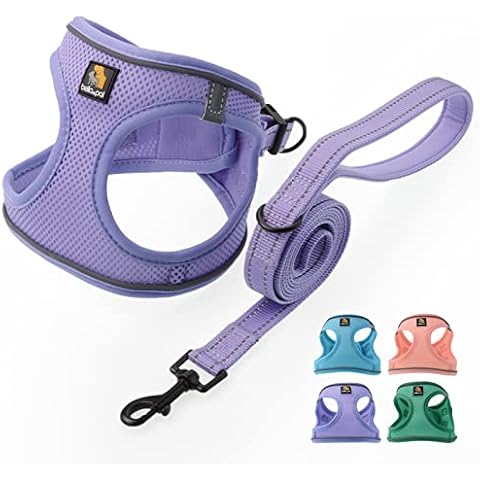 Harnais BELLA & PAL pour Petit Chien Cover