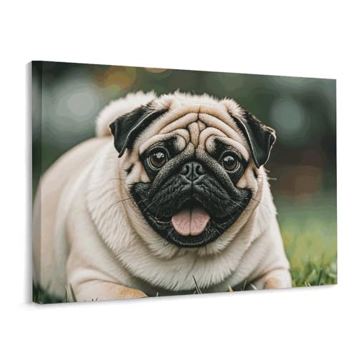 Toile murale de chiens carlin sur cadre : impression haute définition
