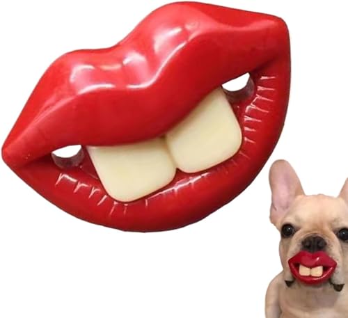 pԂ ^cp ?OfUC 2 HiVR ۉ\ sی Oo^тɕ֗ qpi (A*2)