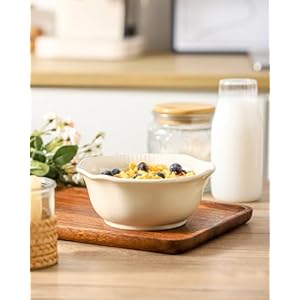 Hasense Ceramic Soup Bowls, 20 oz Cereal Bowls Set of 6 for Kitchen, Microwave, Oven and Dishwasher Safe, For Cereal, Fruit, Salad, Ramen, Soup, Noodle, Housewarming Present, Lotus Bowls, Beige Hasense Ceramic Soup Bowls 20 oz Cereal Bowls Set of 6 for Kitchen Microwave Oven and Dishwasher Safe For Cereal Fruit Salad Ramen Soup Noodle Housewarming Present Lotus Bowls Beige