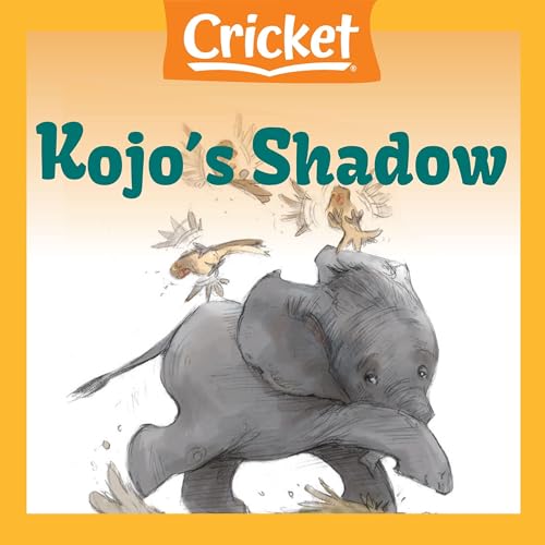 Kojo's Shadow by Na'ima bint Robert episode artwork