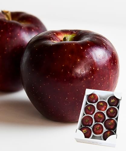 R`Y Hf  3kg 7`12ʑO Gi Mtg