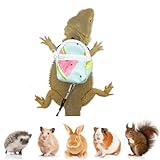Bearded Dragons Conjunto de trelas fofas mochila com design de volta às aulas para animais de estimação pequenos, réptil, lagartixa, crista, camaleão, rato, hamster, esguicho, furão, sessão de fotos