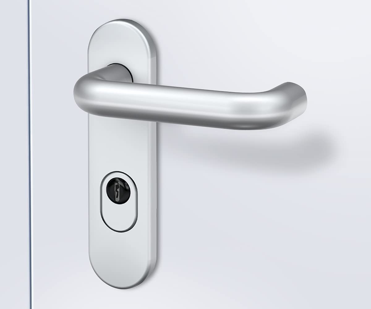 BASI Herraje para puerta de aluminio F1, para puertas interiores, grosor de la puerta 44-66 mm, cubierta de cilindro, juego de picaporte, placa corta redonda, herraje protector
