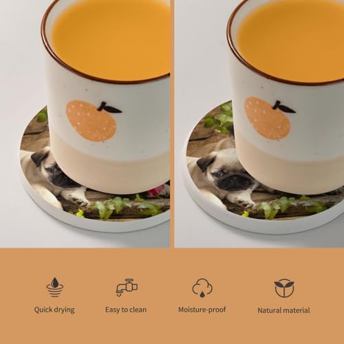 Dessous de verre carlin idée cadeau originale pour amoureux de chien - 6