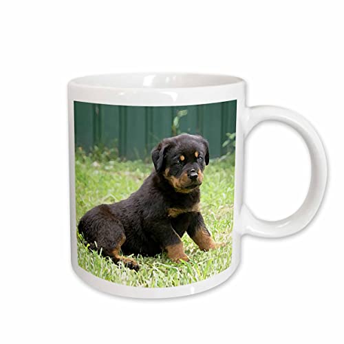 3dRose Rottweiler puppy 15oz Mug