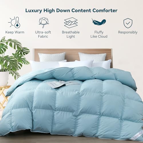 SNOWMAN Premium Down Comforter Queen Size, Luxurious All Season Duvet Insert with Cotton Blended Fabric, 37oz Fill Weight 3D Baffle Box Design Hotel Bedding Comforter (Blue,90"x90")