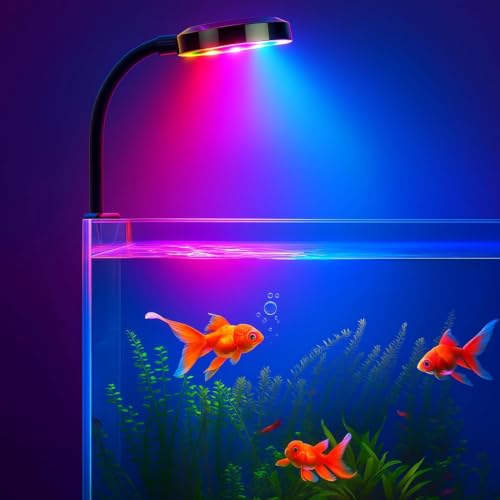 Image of BURAQ N6 Multicolor Aquarium LED Light 2.5W | WRGB Spectrum | 3 Lighting Modes | 360 Flexible Arm | Clip-On Lamp for Nano Fish Tanks & Bowls
