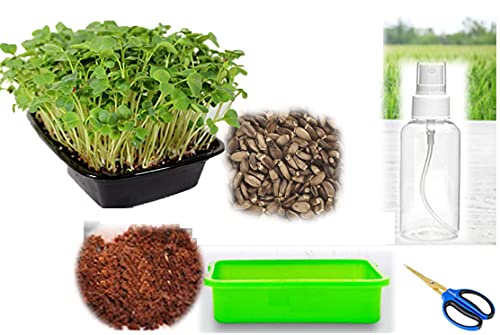 ORGANIC MILK THISTLE COMPLETE GROWING KIT AT HOME (Grow & Eat)(With Tray, Accessories & Instructions) (B08XX7K38P) Amazon Price History, Amazon Price Tracker