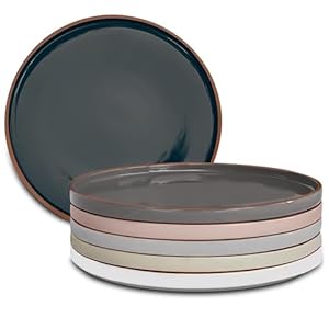   Mora-Ceramic-Flat-Dinner-Plates-Set-of-6-105-in-High-Edge-Dish-Set-Microwave-Oven-and-Dishwasher-Safe-Scratch-Resistant-Modern-Dinnerware-Kitchen-Porcelain-Serving-Dishes-Assorted-Neutrals