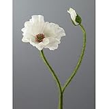 Stärke Stiel ca. 6 mm. Kunstblumen MOHN mit Blüte und Knospe. Mohnblume ca 48 cm. In CREME-48