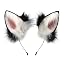 Wolf Bwpink