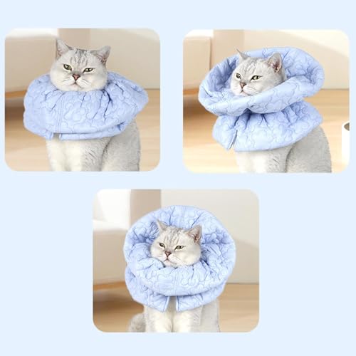 Coleira de cone para gato, coleira de recuperação de gato | Coleira de Recuperação Cone de Pescoço d