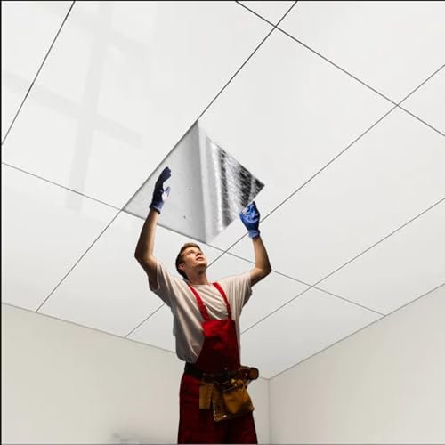 Dalle de plafond Panneaux Adhésifs Imperméables Plafond Cuisine, Revêtement Intérieur Sous-sol Et Carreaux Muraux Commerciaux Et Moulures, Couverts 0,32 ㎡(A styel,5 pcs cover 1.6 m²)