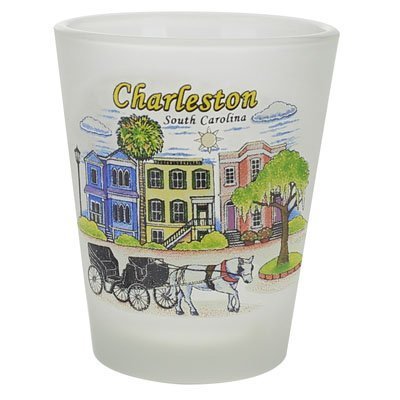 Charleston South Carolina Houses Frosted Shot Glass