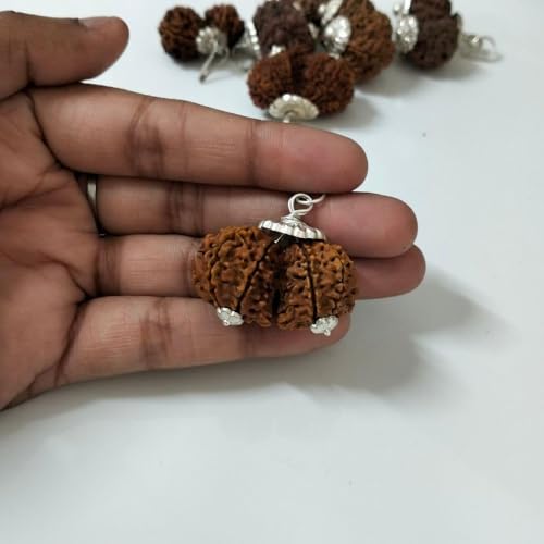 55Carat® 1 2 3 4 5 6 7 8 9 10 11 12 13 Mukhi Gauri Shankar Ganesh Mukhi Nepali 925 Silver Pendant Lab Certified Original Rudraksha rudrakshi Pure Locket for Men and Women2