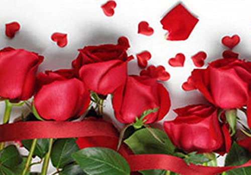 Peinture au Diamant 5D Rose Rouge - Kit complet de broderie strass point de croix 30x40 cm