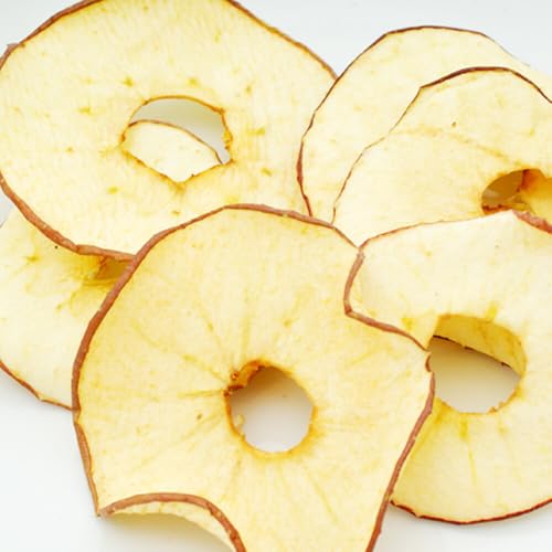 쌧z{Y Ԃ PTO e hCt[c Y Y F