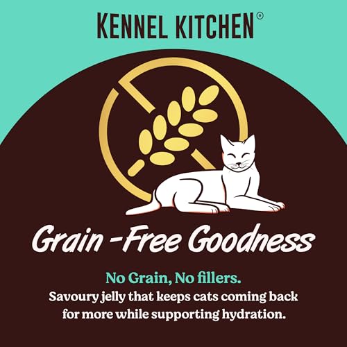 Image of Kennel Kitchen Grain Free Wet Cat Food for Adults and Kittens, Tuna in Jelly, Gravy Pet Food for Cats No Artificial Flavors, Colors or Preservatives 4 Pouches (4 x 80 GMS)