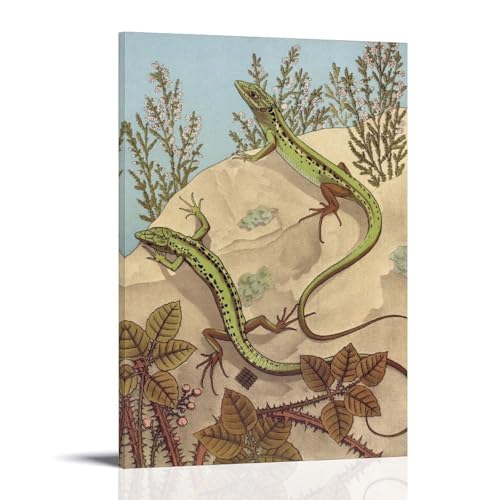 Affiche Art Nouveau Lézard pour habiller un mur vide avec élégance