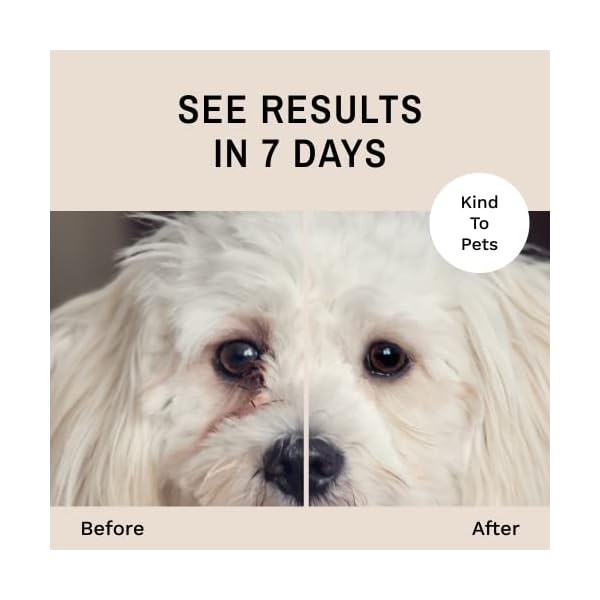 Eye Envy Tear Stain Wipes for Dogs | Textured to Gently Clean | Presoaked in 100% Natural Formula | Recommended by AKC Breeders, Vets, Groomers | Treats The Cause of Staining | 60 Count Eye Envy Tear Stain Wipes for Dogs | Textured to Gently Clean | Presoaked in 100% Natural Formula | Recommended by AKC Breeders, Vets, Groomers | Treats The Cause of Staining | 60 Count