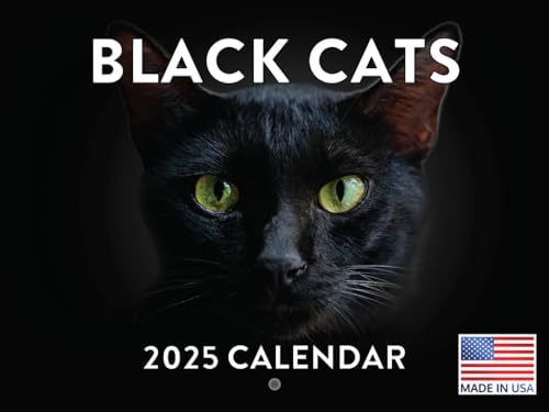 Black Cat Calendar 2025 Black Cats Monthly Wall Calender 12 Month | American Made In The USA