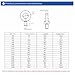SS304 Stainless Steel Lifting Eyebolts Nuts Set M3 to M36 - Heavy Duty for Industrial and Construction Use(M16 1pcs Bolt)